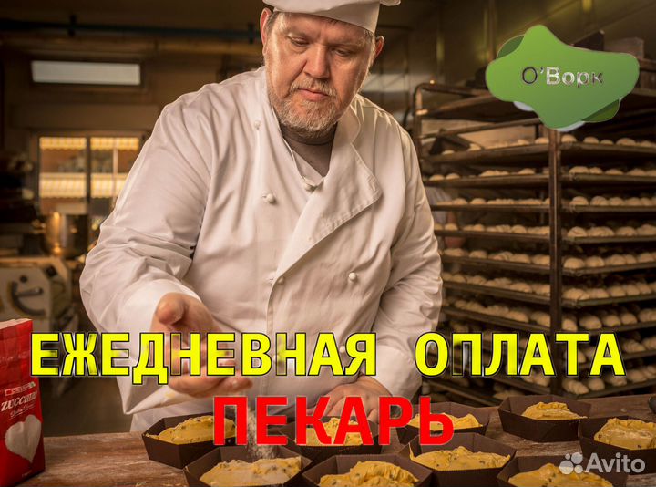 Пекарь на производство. dj043