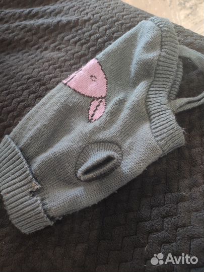 Одежда для маленьких собак