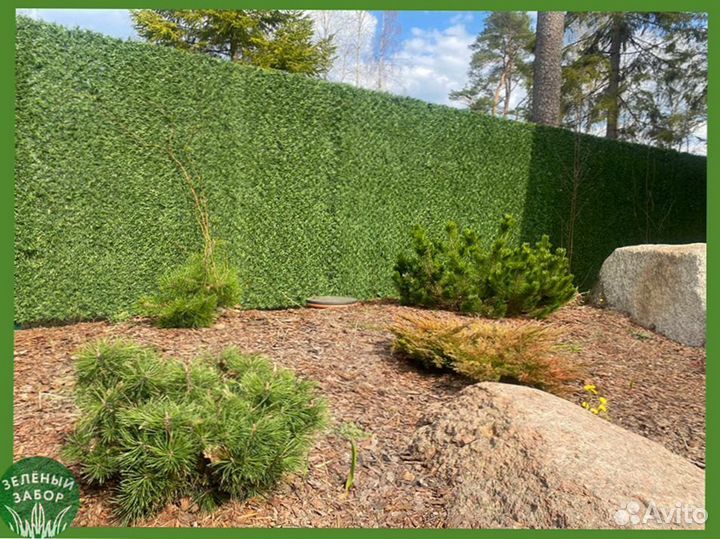 Зелёный Забор