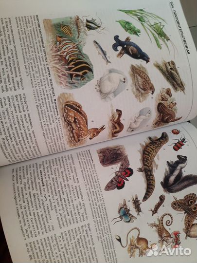 Школьная энциклопедия. Биология