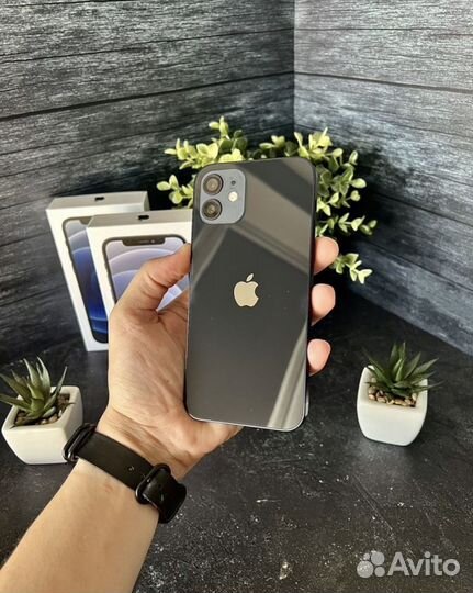 iPhone 12, 256 ГБ