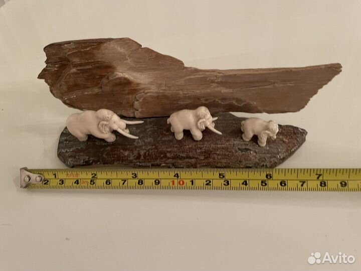 Бивень мамонта