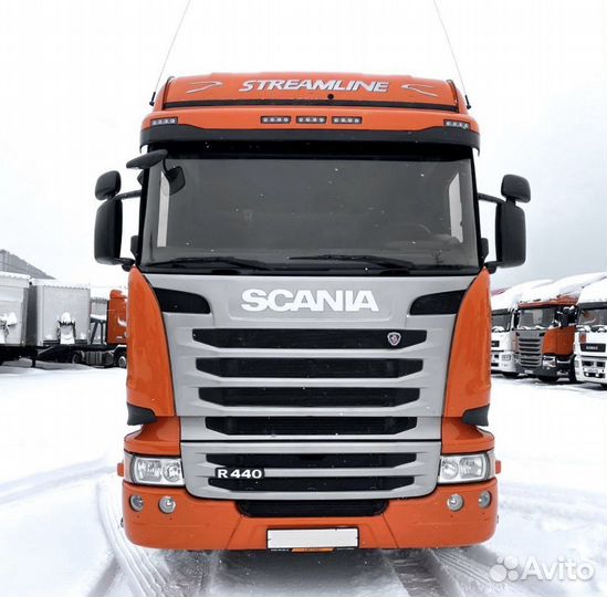 Услуги Рефа