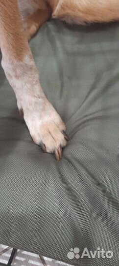 Влагостойкие антивандальные лежанки