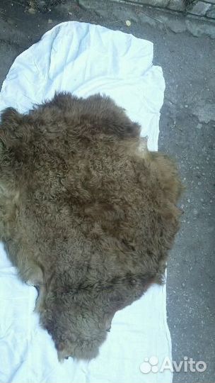 Натуральнын шкуры овчины