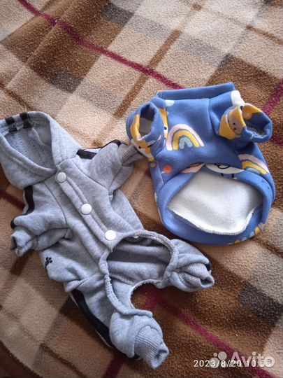 Одежда для маленькой собачки или щенка