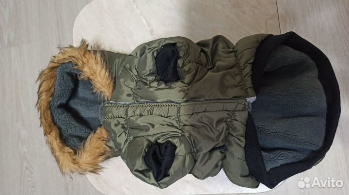 Одежда для собак мелких пород