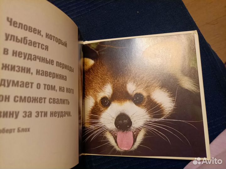 Фото животных