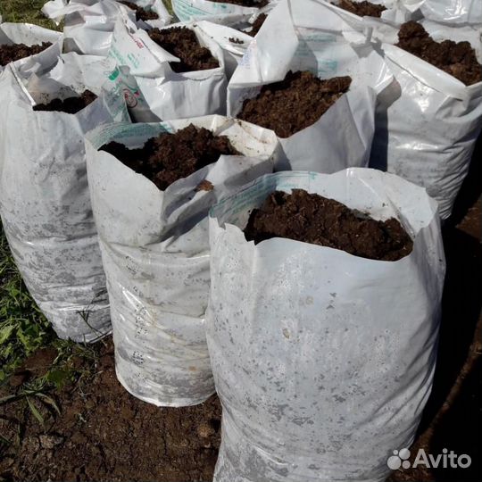 Чернозем-навоз-опил в мешках или самосвалом