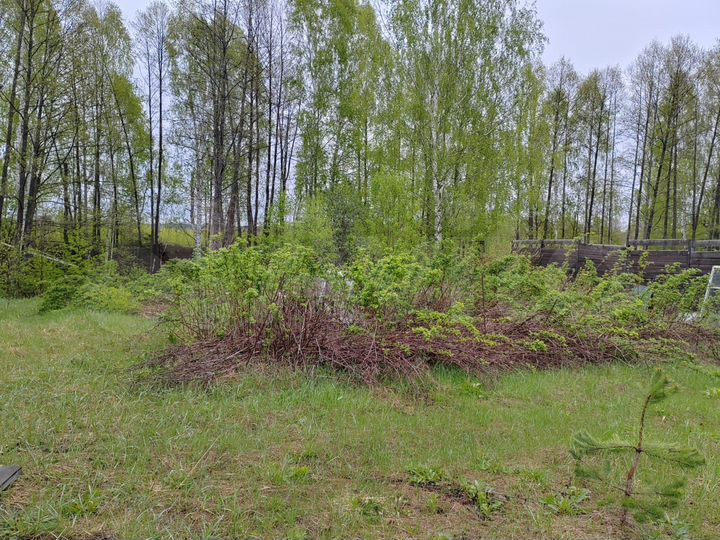 Участок 22 сот. (ИЖС)