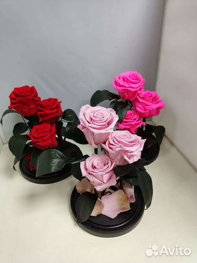 Подарок маме/ Розы оптом