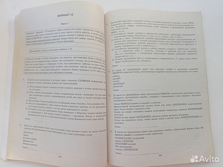 Егэ русский язык, Г. Т. Егораева