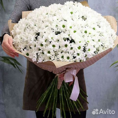 Хризантема. Букеты Цветы доставка