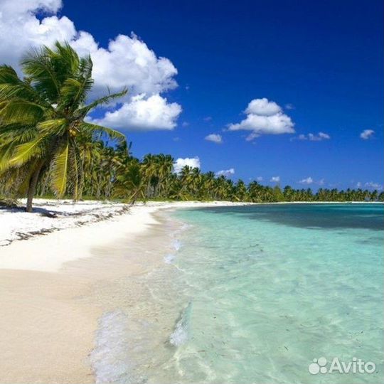 Ищу попутчицу