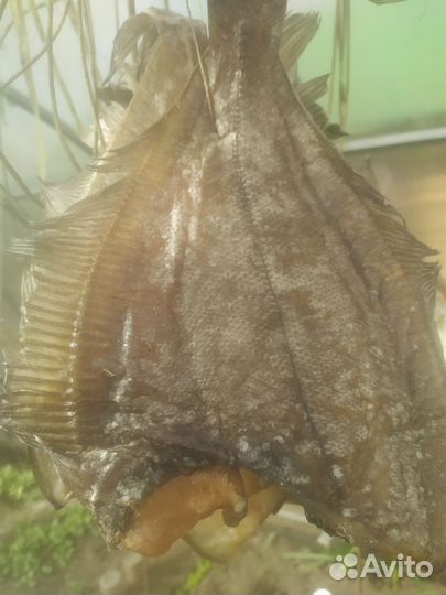 Камбала ерш вяленый