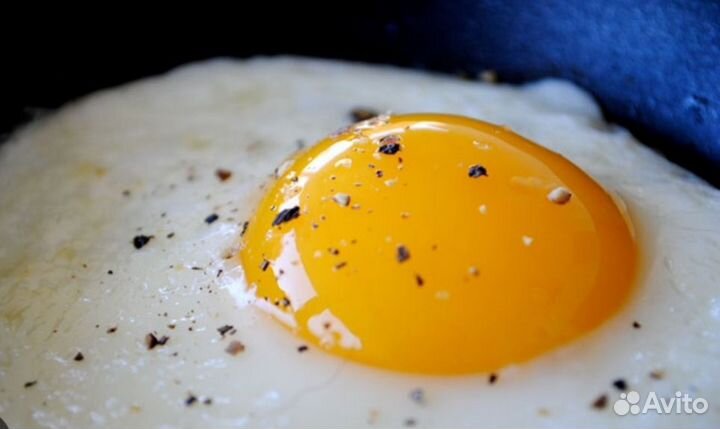 Яйца домашние куриные