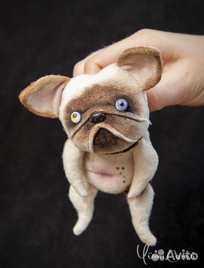 Смешной тедди бульдог