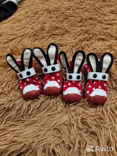 Зимняя обувь для собак