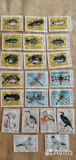 Коллеционная этикетка