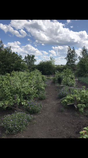 Дача 20 м² на участке 12 сот.