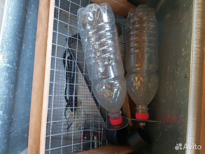 Инкубатор блиц 48