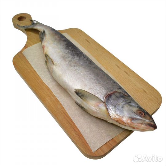 Горбуша. Нерка. Корюшка. Кижуч. Краб, Раки