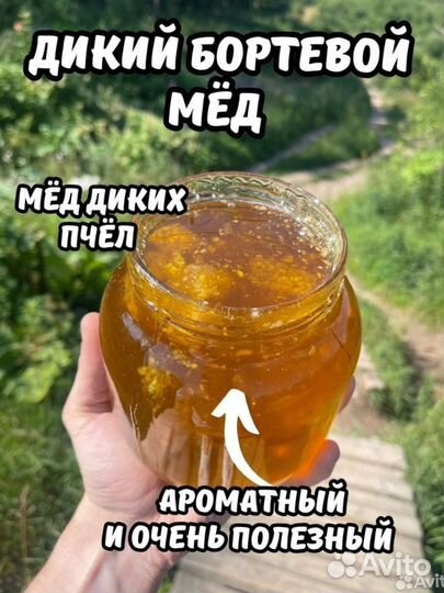 Отговорю покупать Дикий Бортевой мед