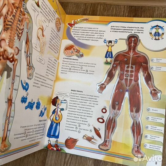 Энциклопедия для детей