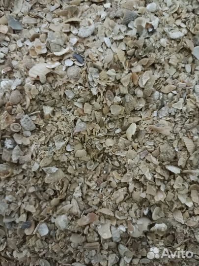 Ракушка кормовая