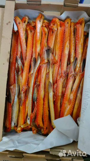 Форель холодного копчения