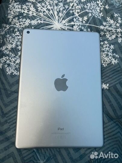 iPad