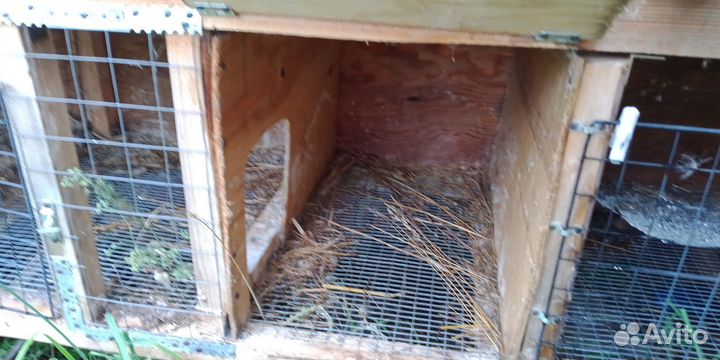Клетка для кроликов