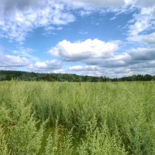 Участок 6,3 га (СНТ, ДНП)