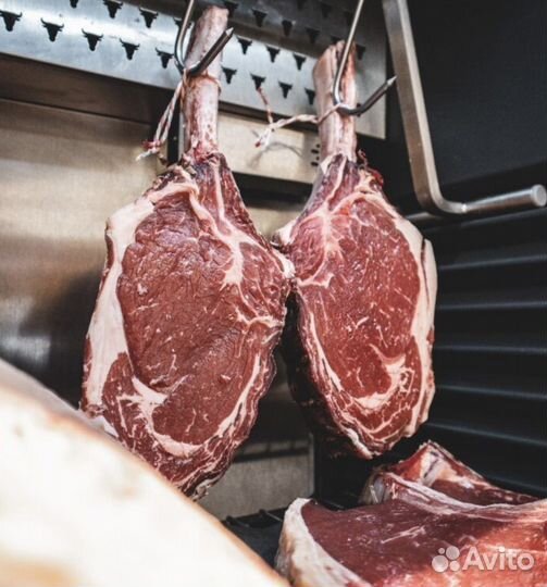 Мясо говядина (телка) ляжками