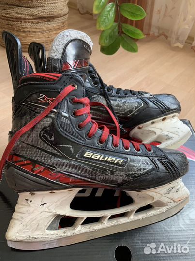 Коньки bauer vapor 2x