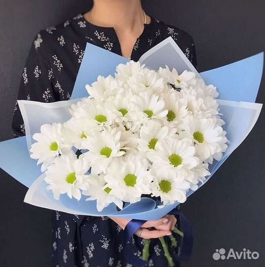 Хризантема Букет хризантем Доставка