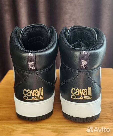 Кеды Cavalli Class мужские