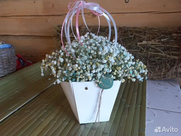 Композиции с гипсофилой