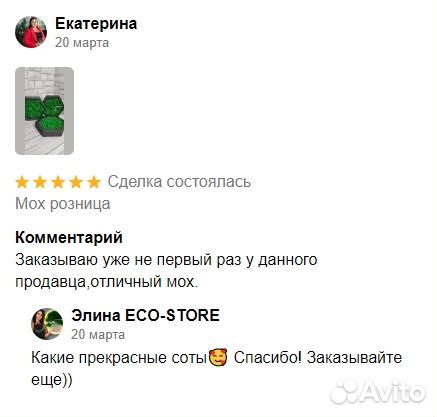 Панно из мха светлого и темного