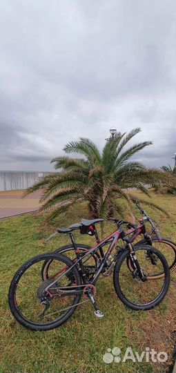 Карбоновый велосипед Jamis