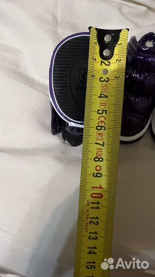 Сапоги для собак