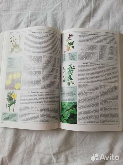 Все о лекарственных растениях атлас-справочник