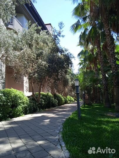 Отзыв об отдыхе в Турции