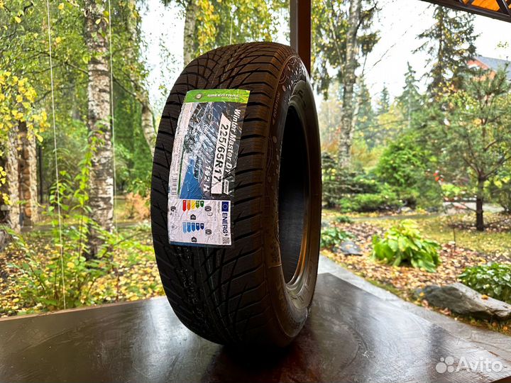 Greentrac Winter Master D1 225/65 R17 102H