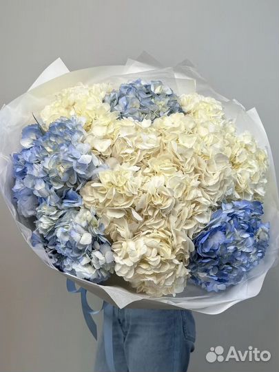 Букет из 15 гортензий