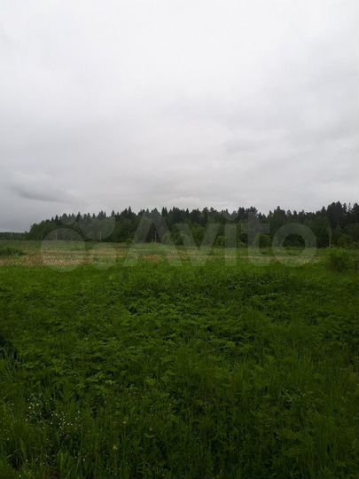 Участок 9 сот. (ИЖС)