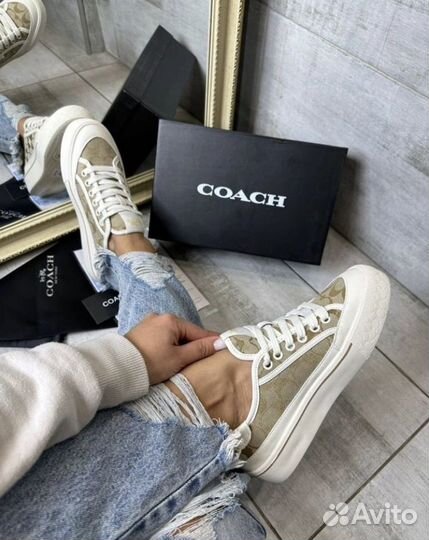 Кеды женские coach