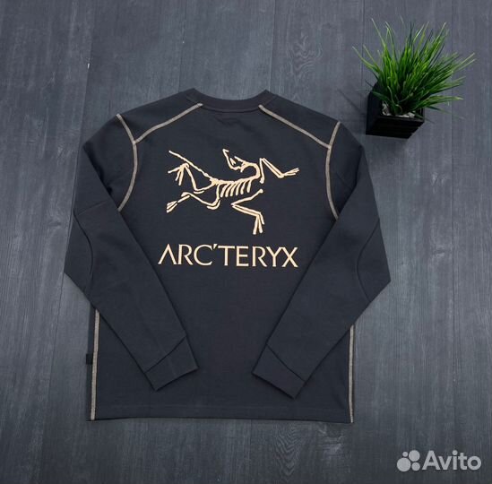 Свитшот весенний Arcteryx