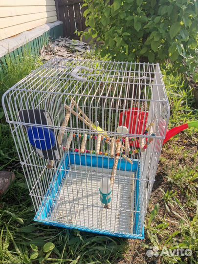 Клетка для попугая или грызунов и т.д