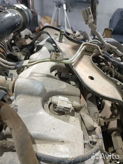 Двигатель YD25 Nissan Navara D40 2.5 Дизель